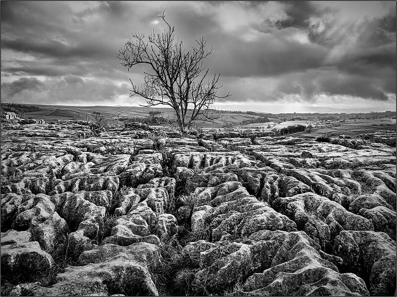 Lone Tree and Rocks_ Alison Hance _ open.jpg - Monthly Print Comp 3 open