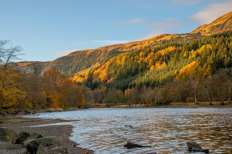 Autumn on Loch _DSC4596.jpg