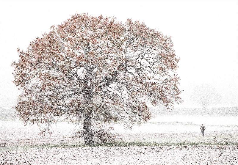 The snow arrives early_david kelly_set..jpg