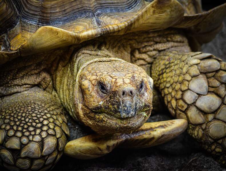 Wrinkles and Wisdom_Martyn Scurrell_Set.jpg - Set