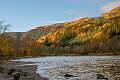 Autumn on Loch _DSC4596