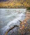Autumn shoreline at Buttermere