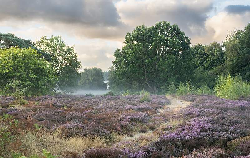 08.01.i01.jpg - Open