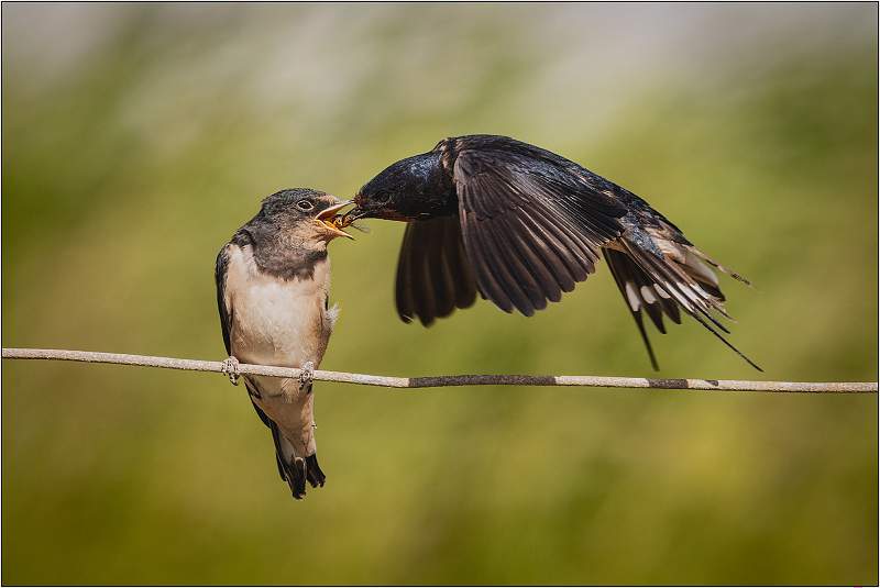 03.02-MC1_8950.jpg - East Lane, Bawdsey