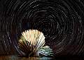 Scallop Star Trail