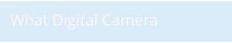 What Digital Camera
