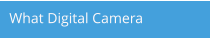 What Digital Camera
