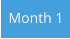 Month 1