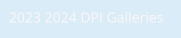 2023 2024 DPI Galleries